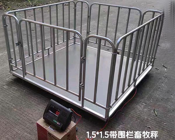 http://m.qhdmydfw.cn/dzqch/2020061925.html