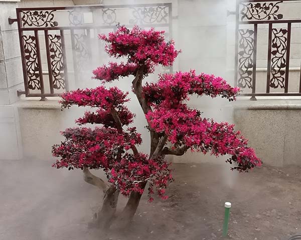 霧森系統(tǒng)價格、三門峽霧森報價